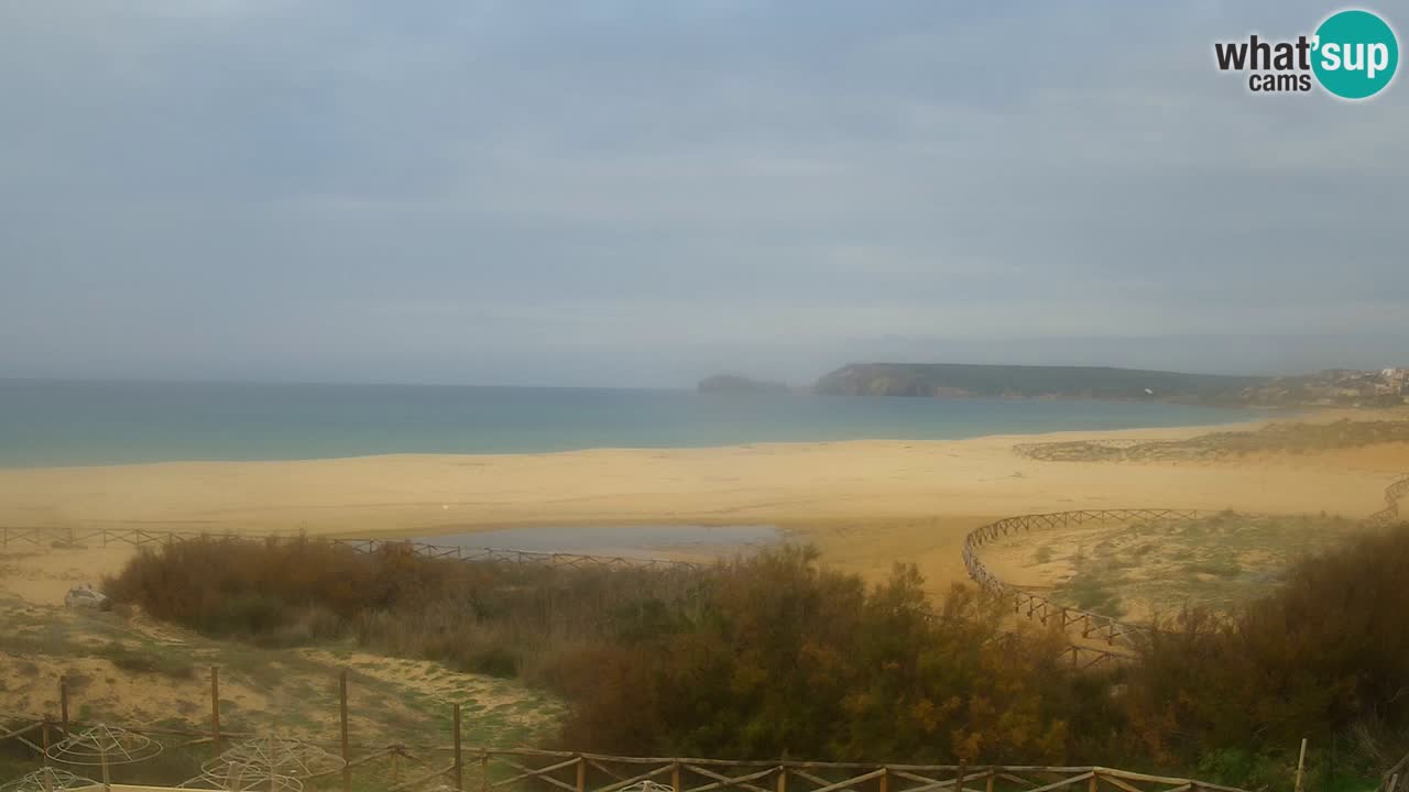 Webcam Torre dei Corsari – Live Beach View from Punta Usai