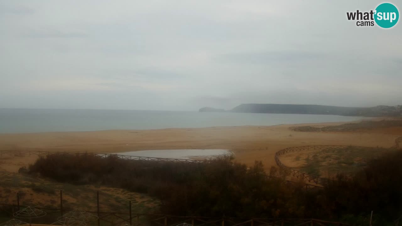 Webcam Torre dei Corsari – Live Beach View from Punta Usai