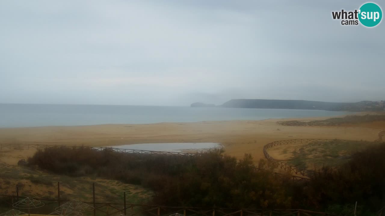 Webcam Torre dei Corsari – Live Beach View from Punta Usai