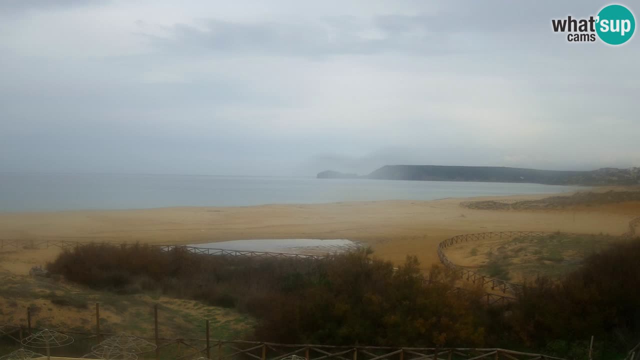 Webcam Torre dei Corsari – Live Beach View from Punta Usai