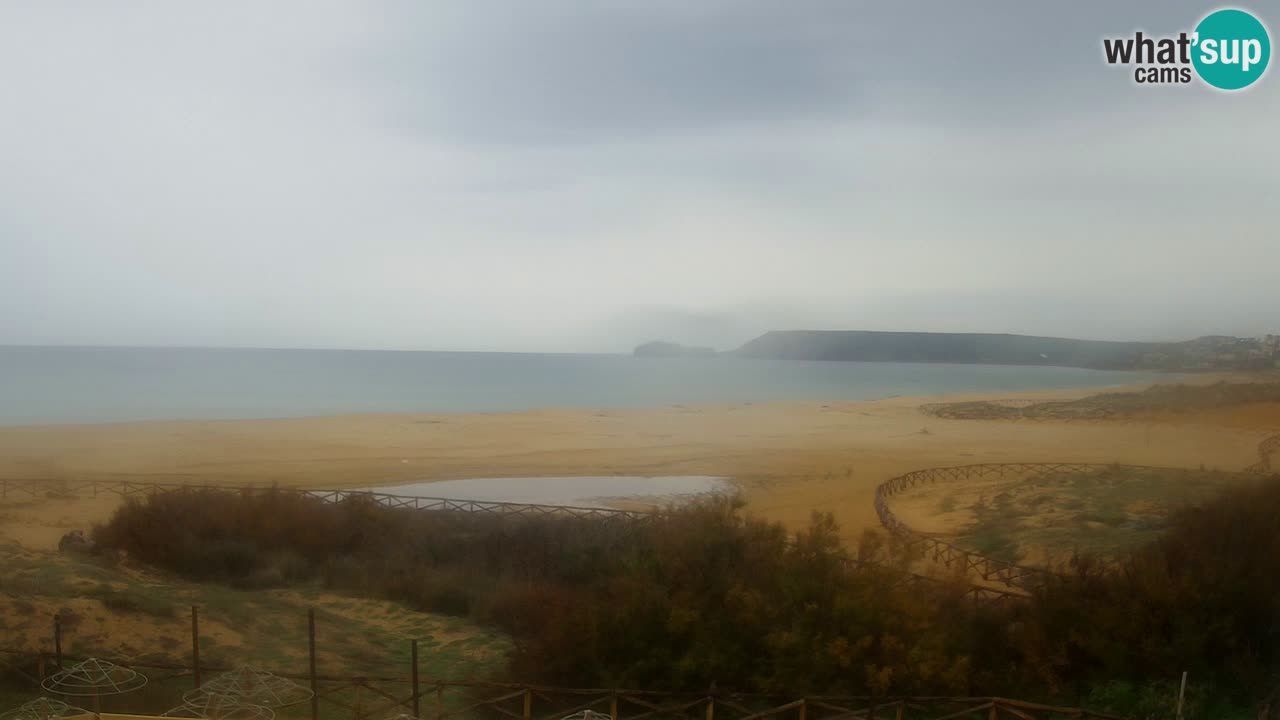 Webcam Torre dei Corsari – Live Beach View from Punta Usai