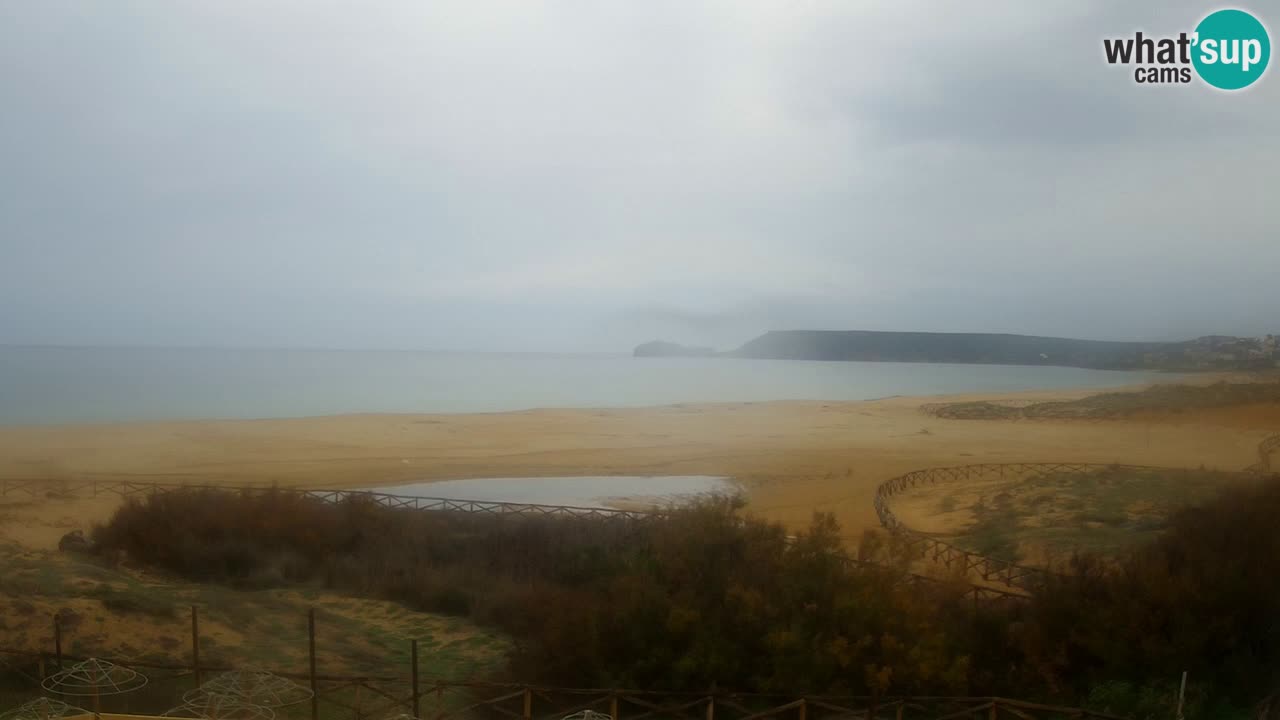Webcam Torre dei Corsari – Live Beach View from Punta Usai