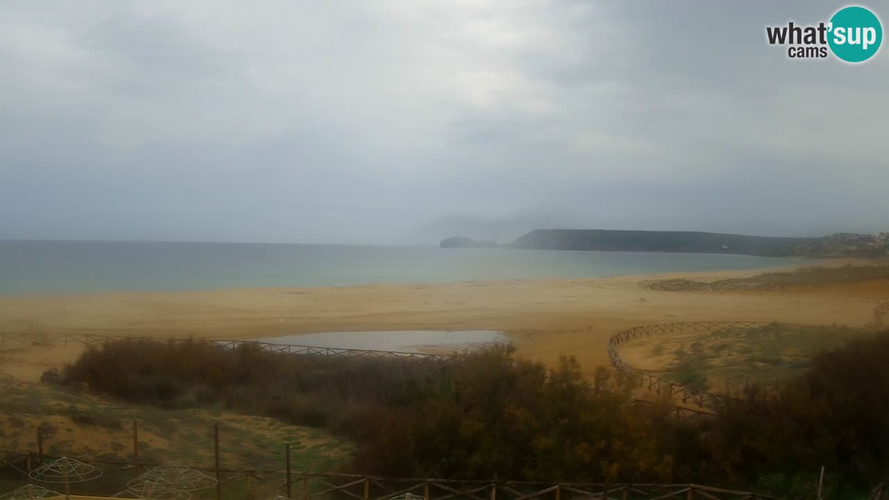 Webcam Torre dei Corsari – Live Beach View from Punta Usai