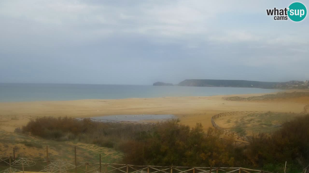 Webcam Torre dei Corsari – Live Beach View from Punta Usai