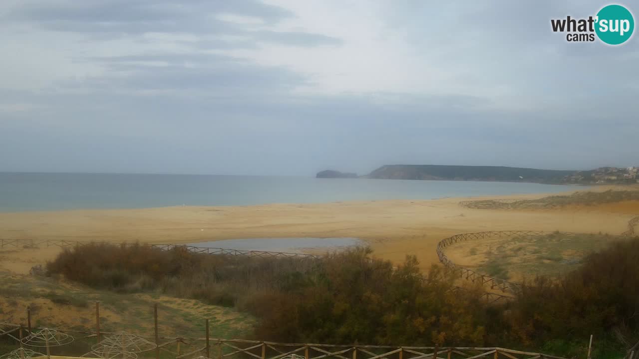 Webcam Torre dei Corsari – Live Beach View from Punta Usai