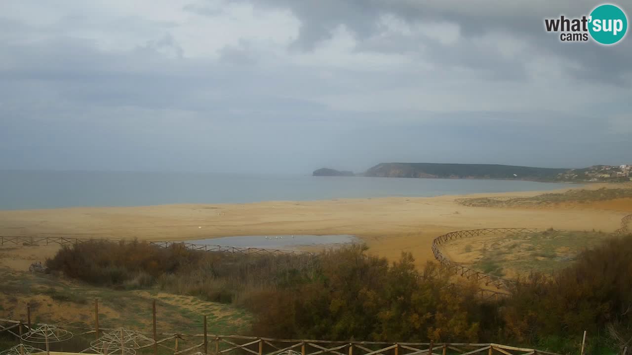 Web kamera Torre dei Corsari – Pogled uživo na plažu s Punta Usai