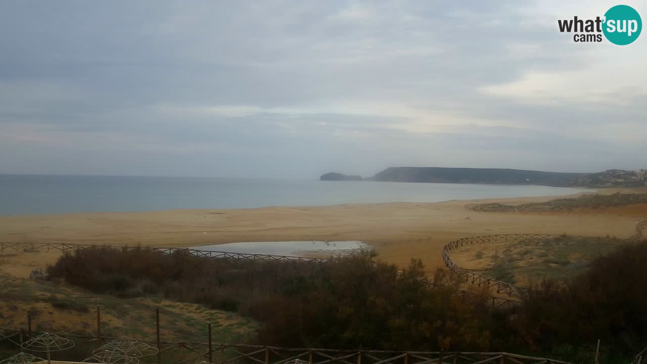 Webcam Torre dei Corsari – Vue en direct sur la plage depuis Punta Usai