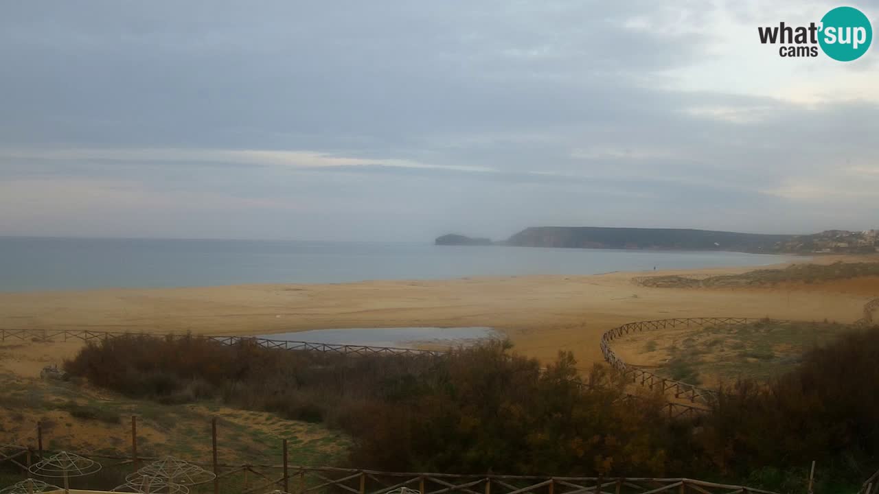 Webcam Torre dei Corsari – Live Beach View from Punta Usai