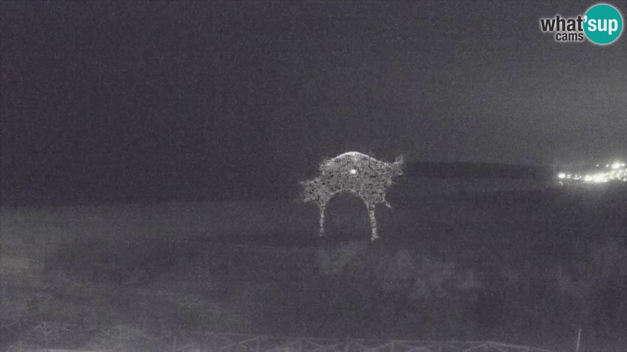 Webcam Torre dei Corsari – Live Beach View from Punta Usai