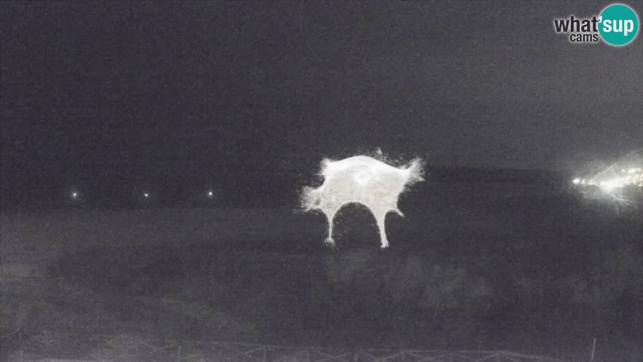 Cámara web Torre dei Corsari – Vista en directo de la playa desde Punta Usai