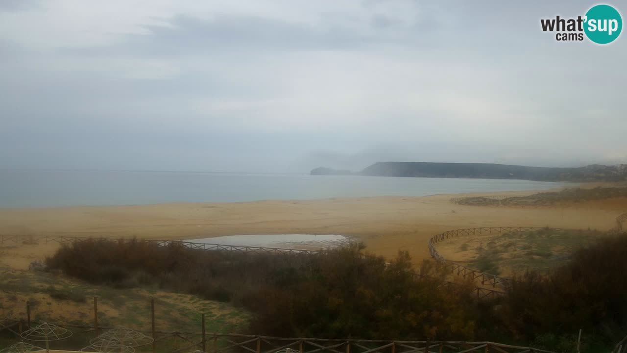 Webcam Torre dei Corsari – Live Beach View from Punta Usai