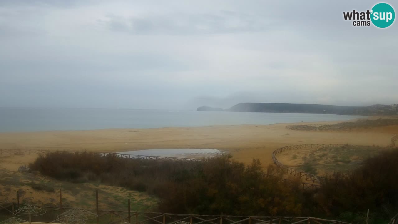 Webcam Torre dei Corsari – Live Beach View from Punta Usai