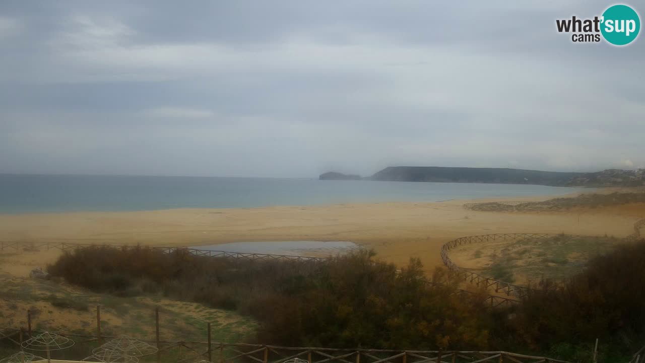 Webcam Torre dei Corsari – Live Beach View from Punta Usai