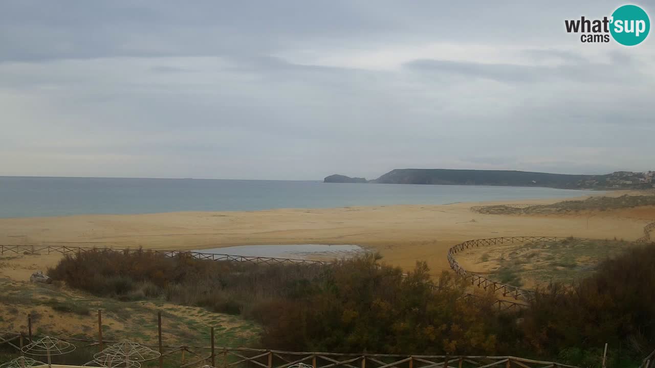 Webcam Torre dei Corsari – Live Beach View from Punta Usai