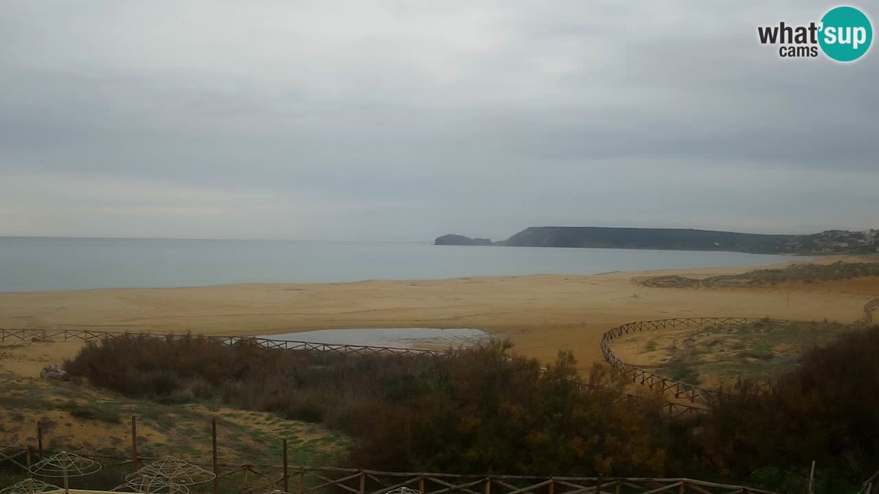 Webcam Torre dei Corsari – Live Beach View from Punta Usai