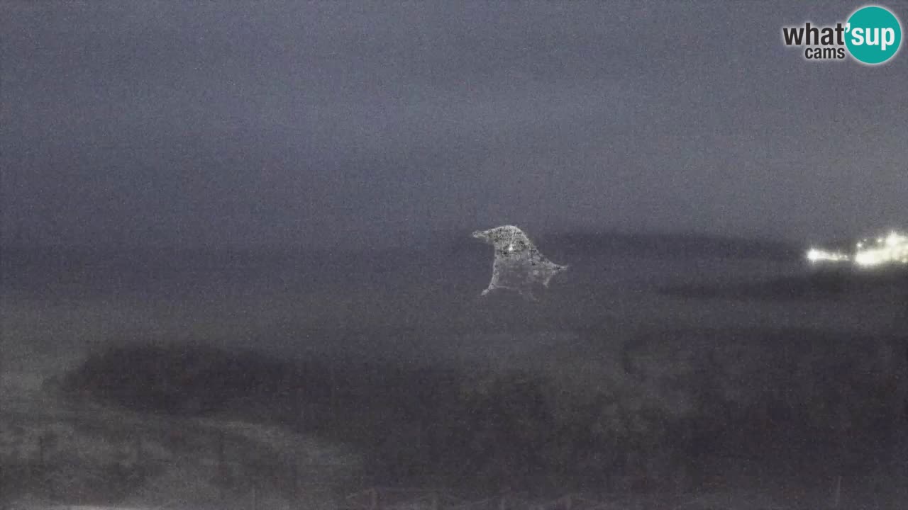 Webcam Torre dei Corsari – Liveblick auf den Strand von Punta Usai