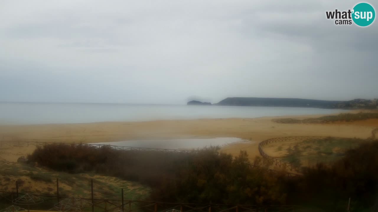 Webcam Torre dei Corsari – Live Beach View from Punta Usai