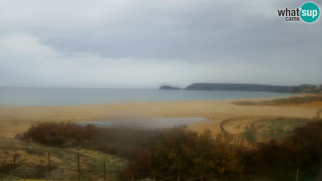 Webcam Torre dei Corsari – Live Beach View from Punta Usai