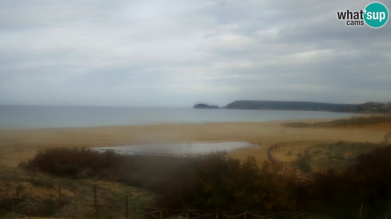 Webcam Torre dei Corsari – Live Beach View from Punta Usai