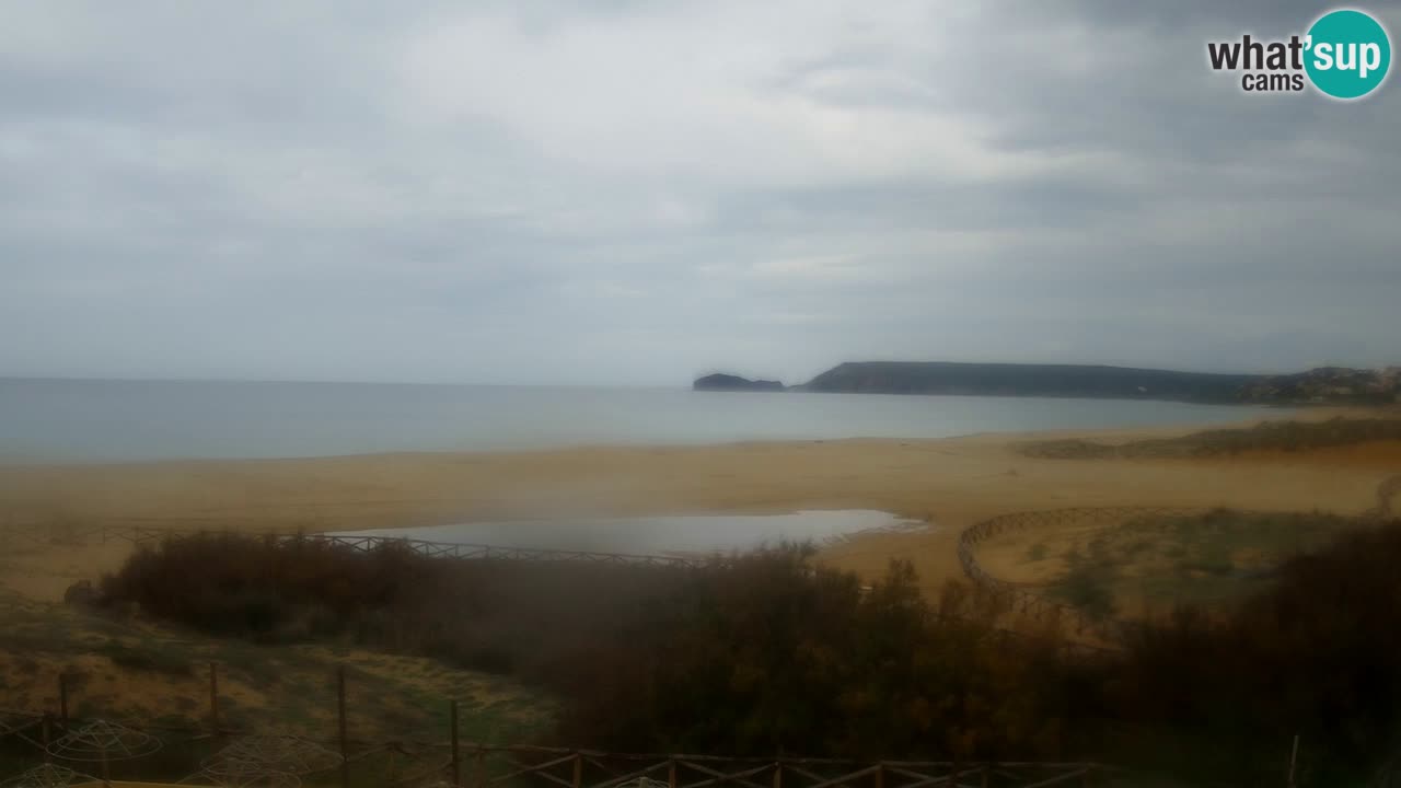 Webcam Torre dei Corsari – Live Beach View from Punta Usai