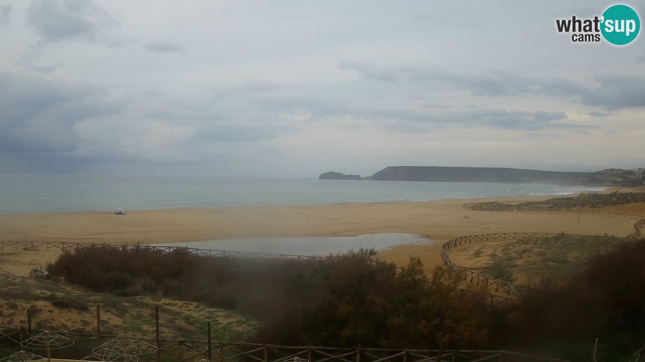 Webcam Torre dei Corsari – Live Beach View from Punta Usai