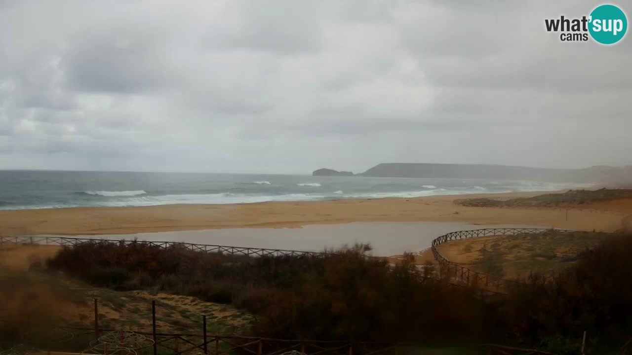 Webcam Torre dei Corsari – Vista live sulla spiaggia da Punta Usai