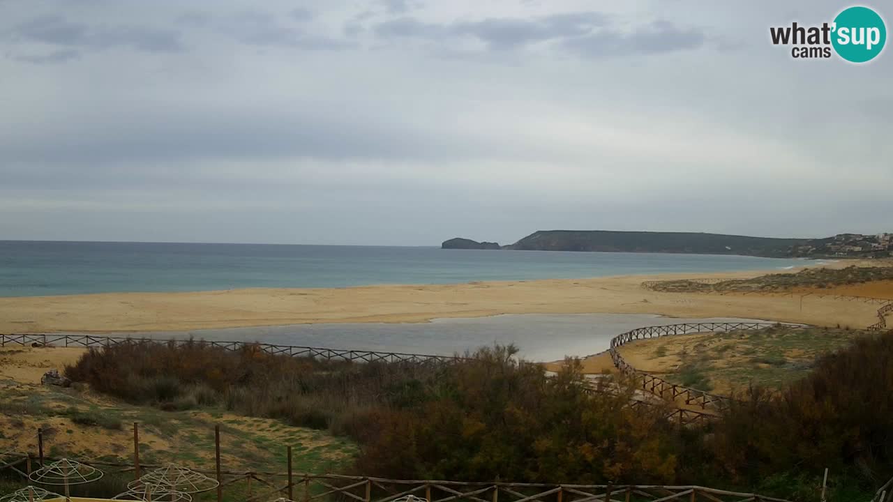 Webcam Torre dei Corsari – Live Beach View from Punta Usai