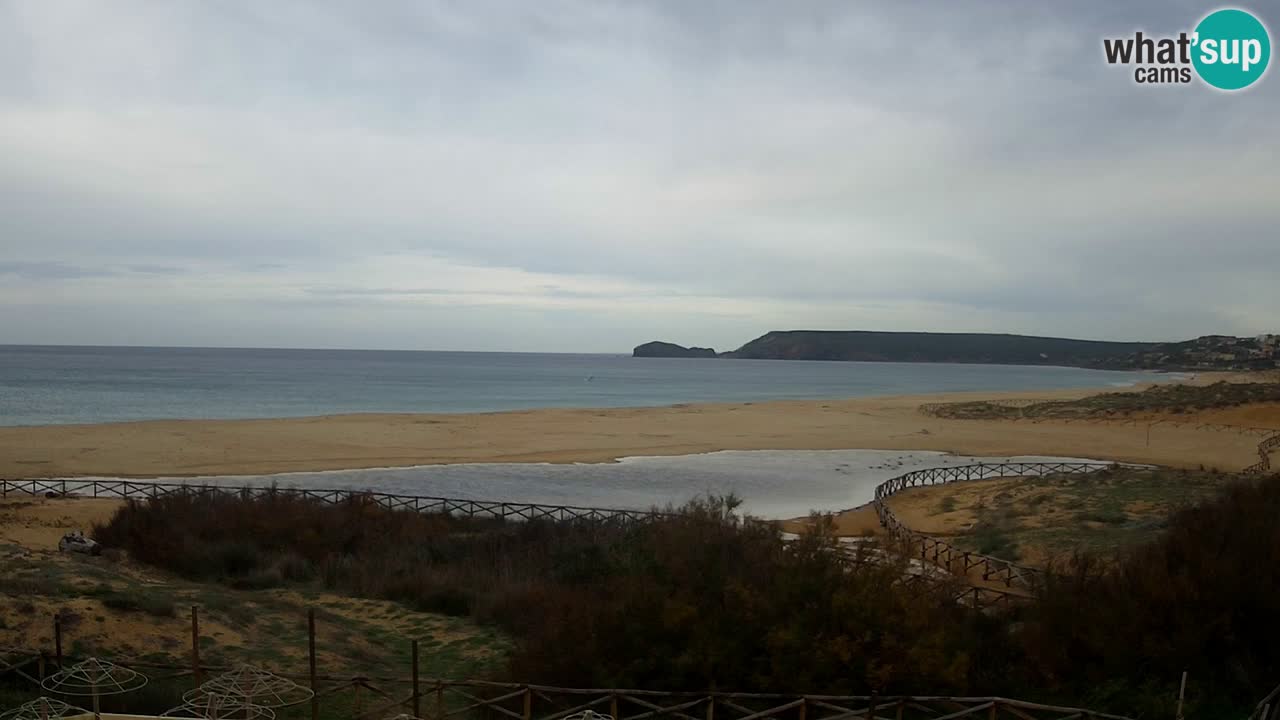 Webcam Torre dei Corsari – Live Beach View from Punta Usai