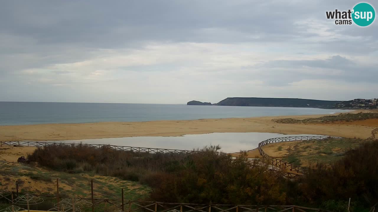 Webcam Torre dei Corsari – Live Beach View from Punta Usai