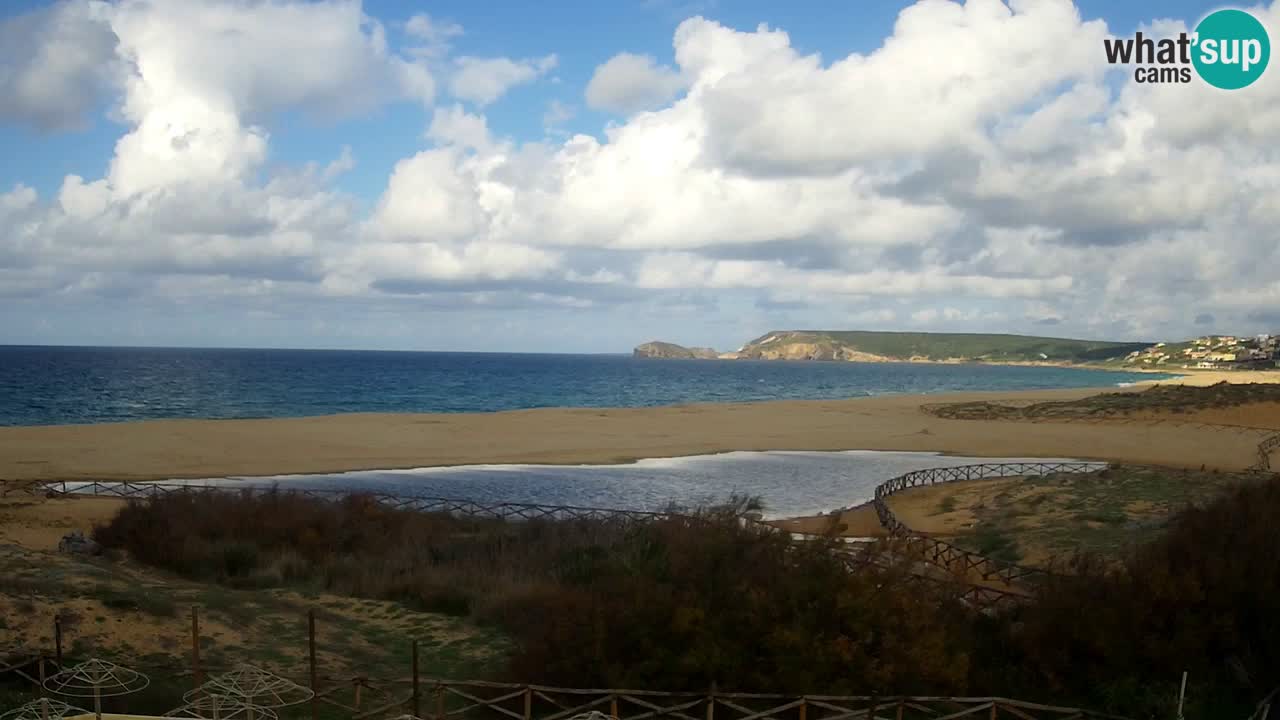 Webcam Torre dei Corsari – Live Beach View from Punta Usai