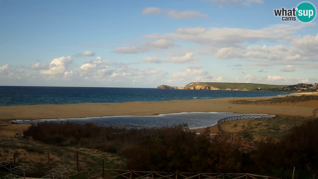 Webcam Torre dei Corsari – Live Beach View from Punta Usai