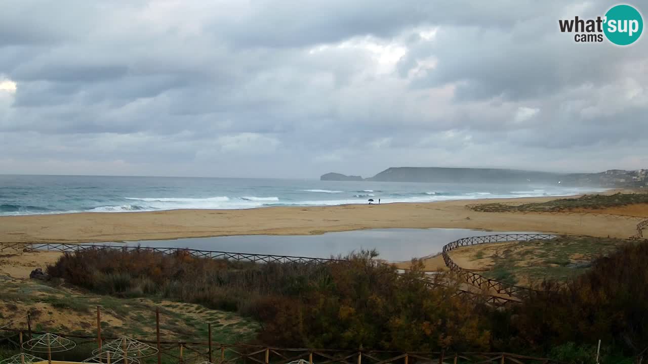 Webcam Torre dei Corsari – Live Beach View from Punta Usai