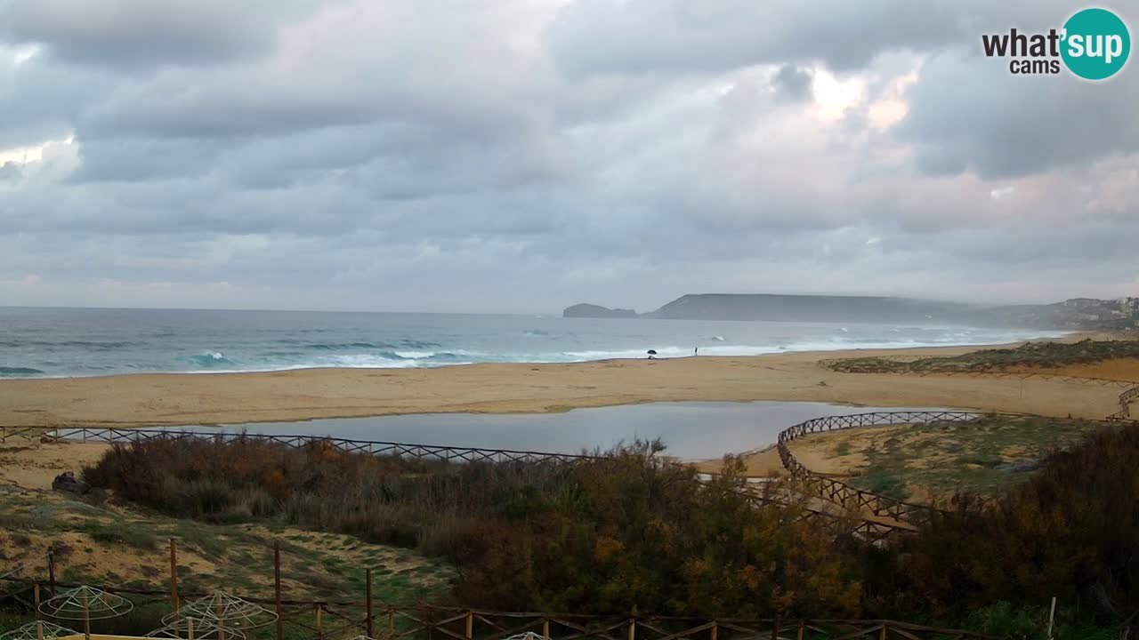 Webcam Torre dei Corsari – Live Beach View from Punta Usai