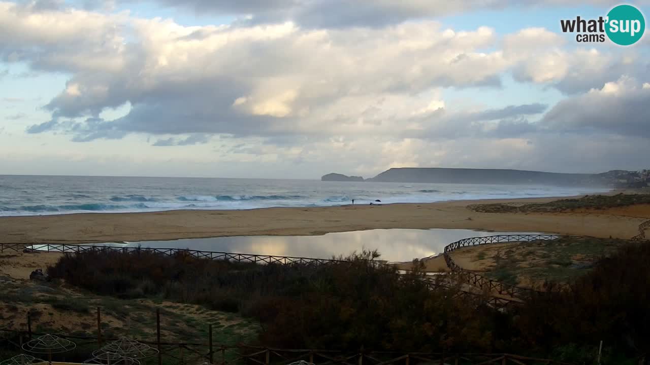 Webcam Torre dei Corsari – Live Beach View from Punta Usai