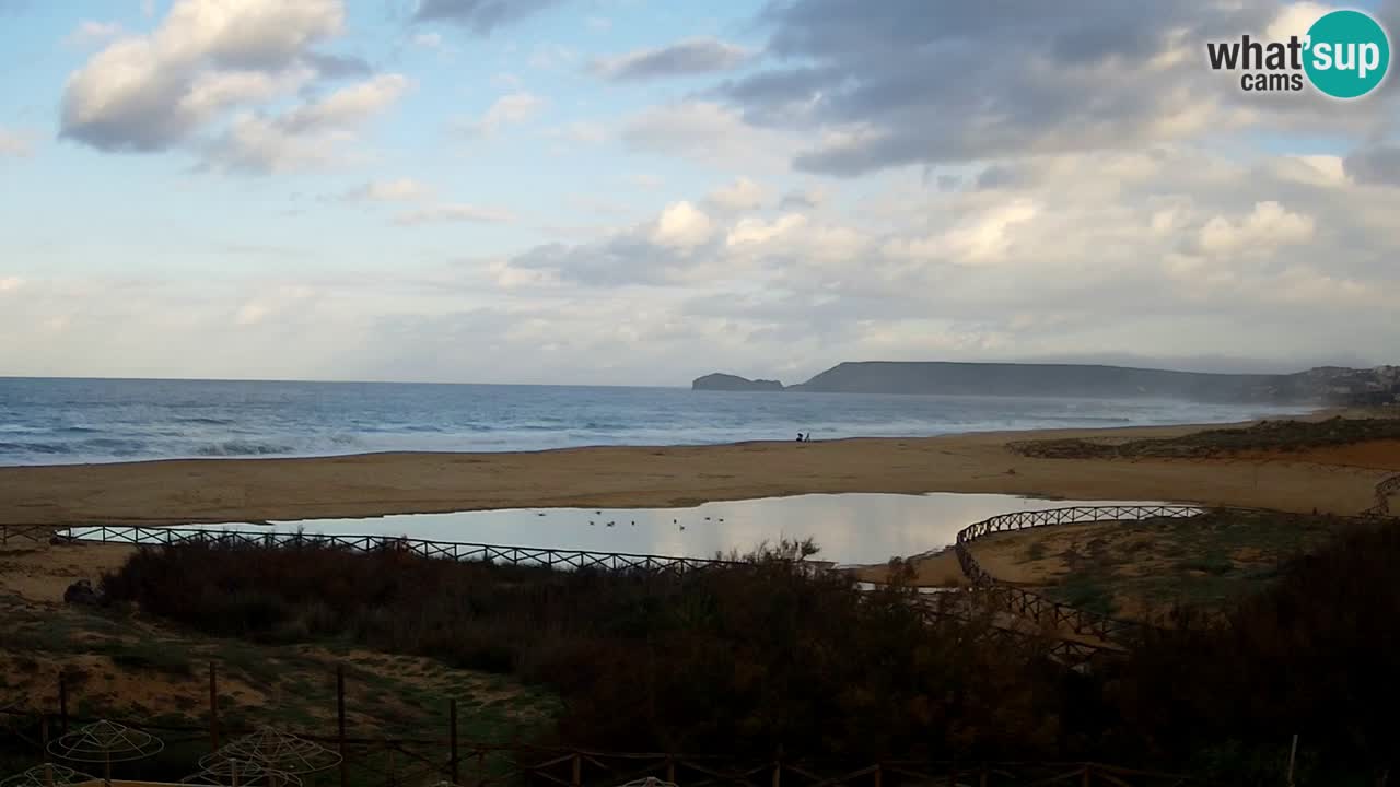 Webcam Torre dei Corsari – Live Beach View from Punta Usai