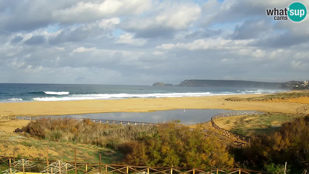 Webcam Torre dei Corsari – Vista live sulla spiaggia da Punta Usai
