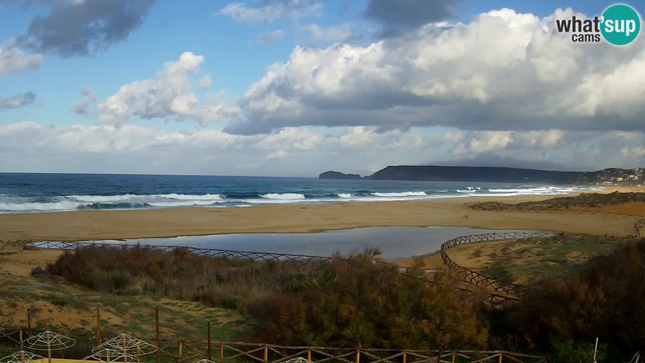 Webcam Torre dei Corsari – Live Beach View from Punta Usai