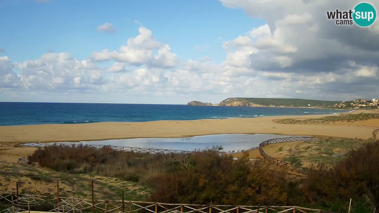 Web kamera Torre dei Corsari – Pogled uživo na plažu s Punta Usai