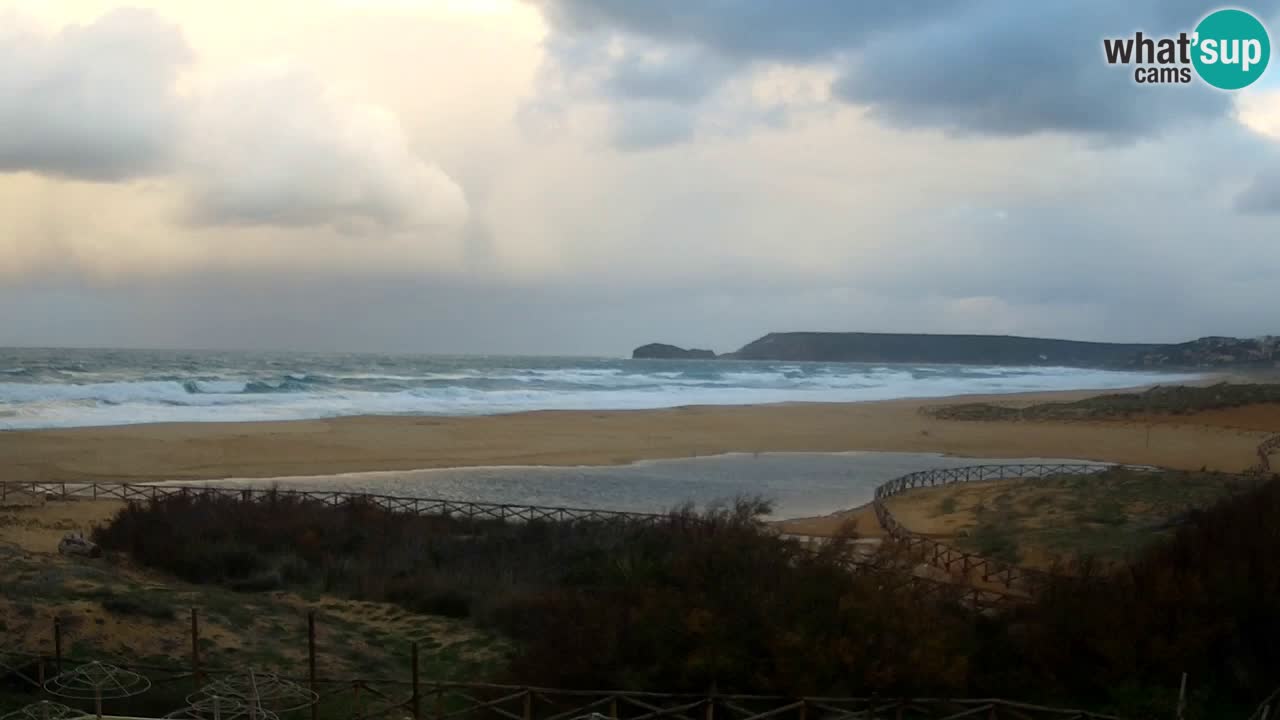 Webcam Torre dei Corsari – Live Beach View from Punta Usai