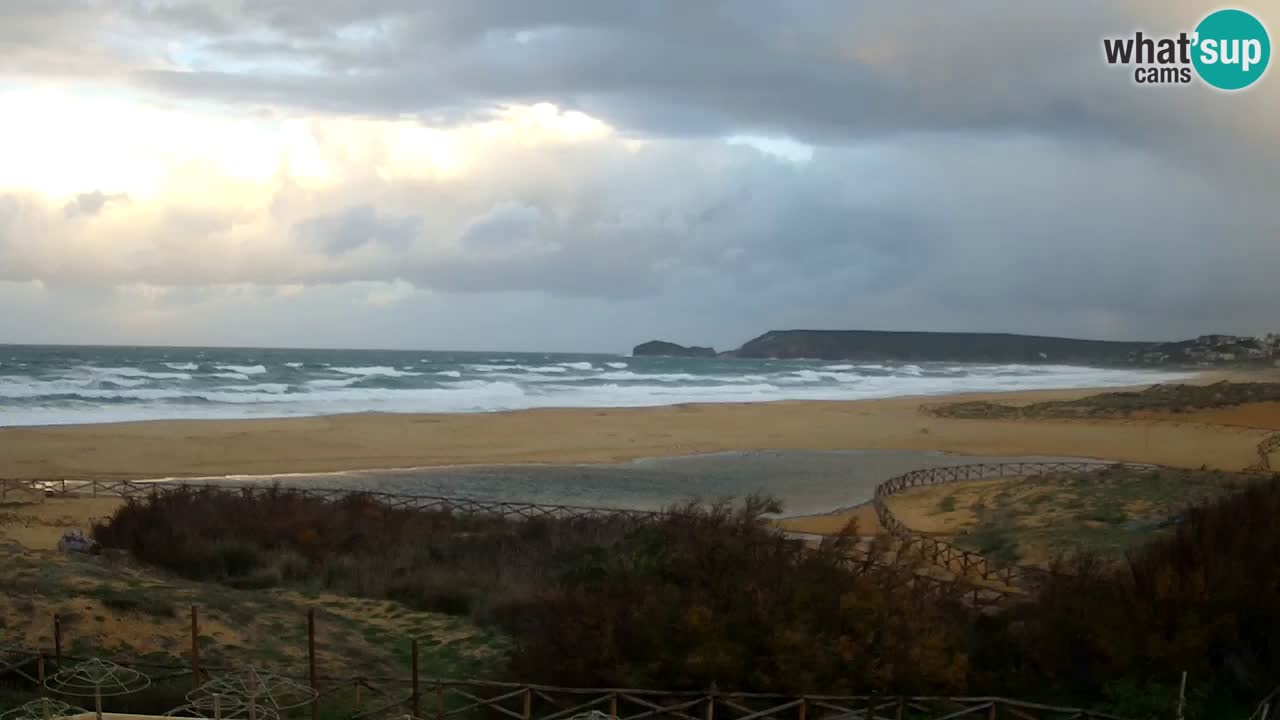 Webcam Torre dei Corsari – Live Beach View from Punta Usai
