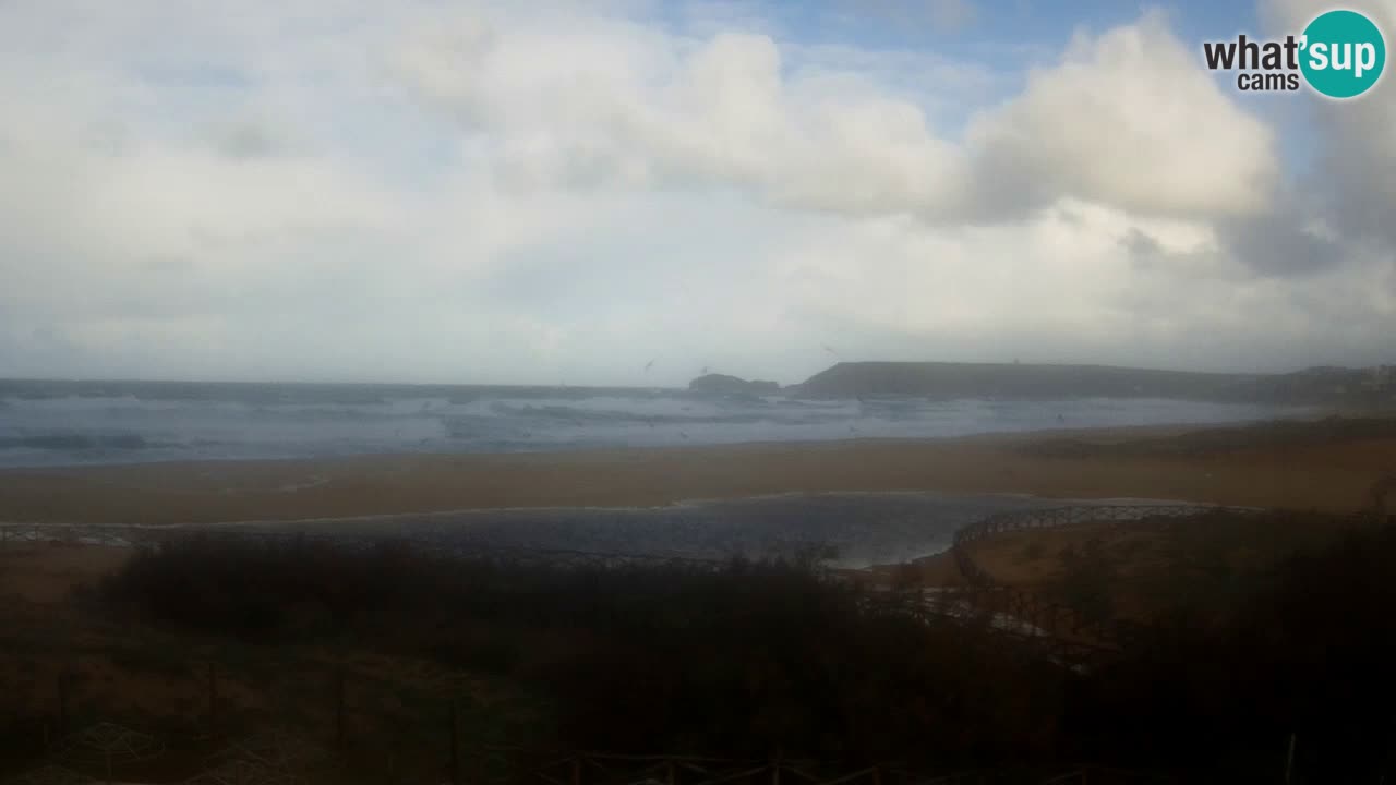 Webcam Torre dei Corsari – Live Beach View from Punta Usai