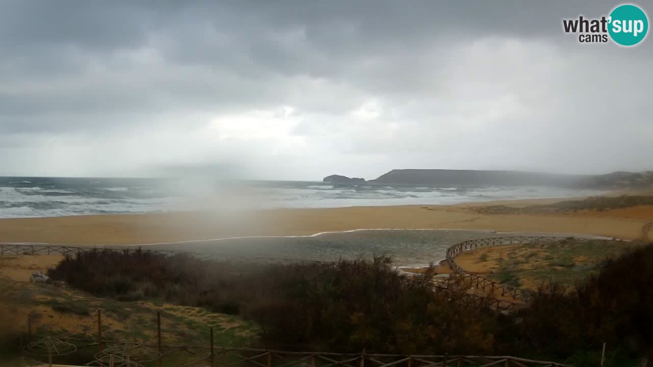 Webcam Torre dei Corsari – Live Beach View from Punta Usai