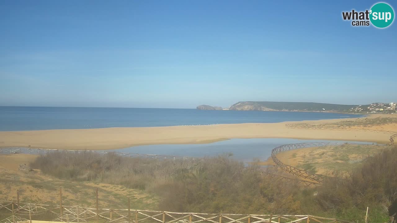 Webcam Torre dei Corsari – Live Beach View from Punta Usai