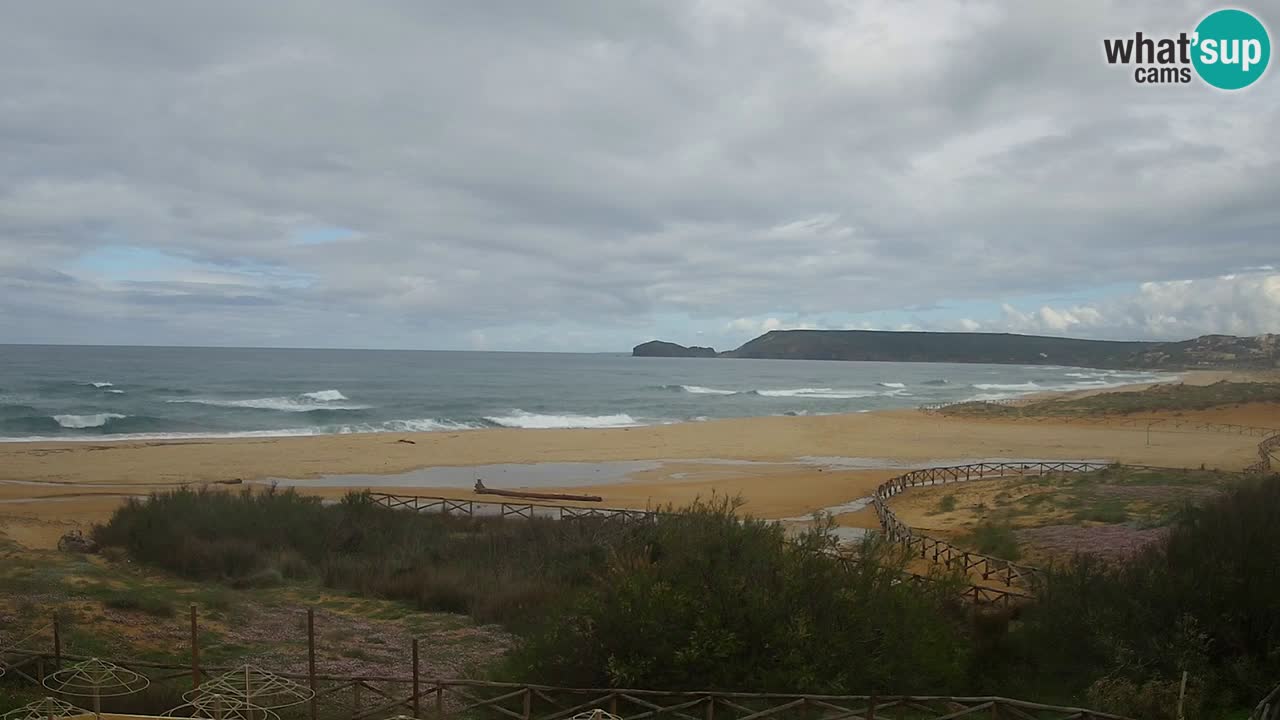 Webcam Torre dei Corsari – Liveblick auf den Strand von Punta Usai