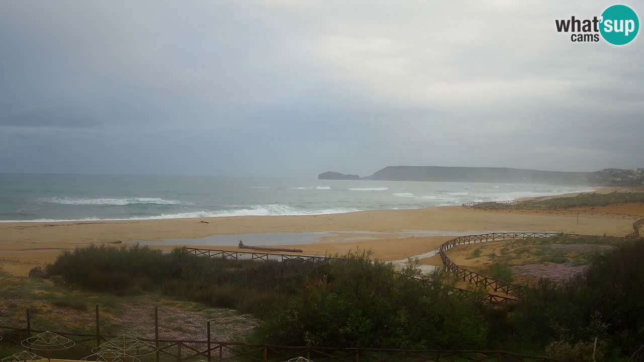 Webcam Torre dei Corsari – Live Beach View from Punta Usai