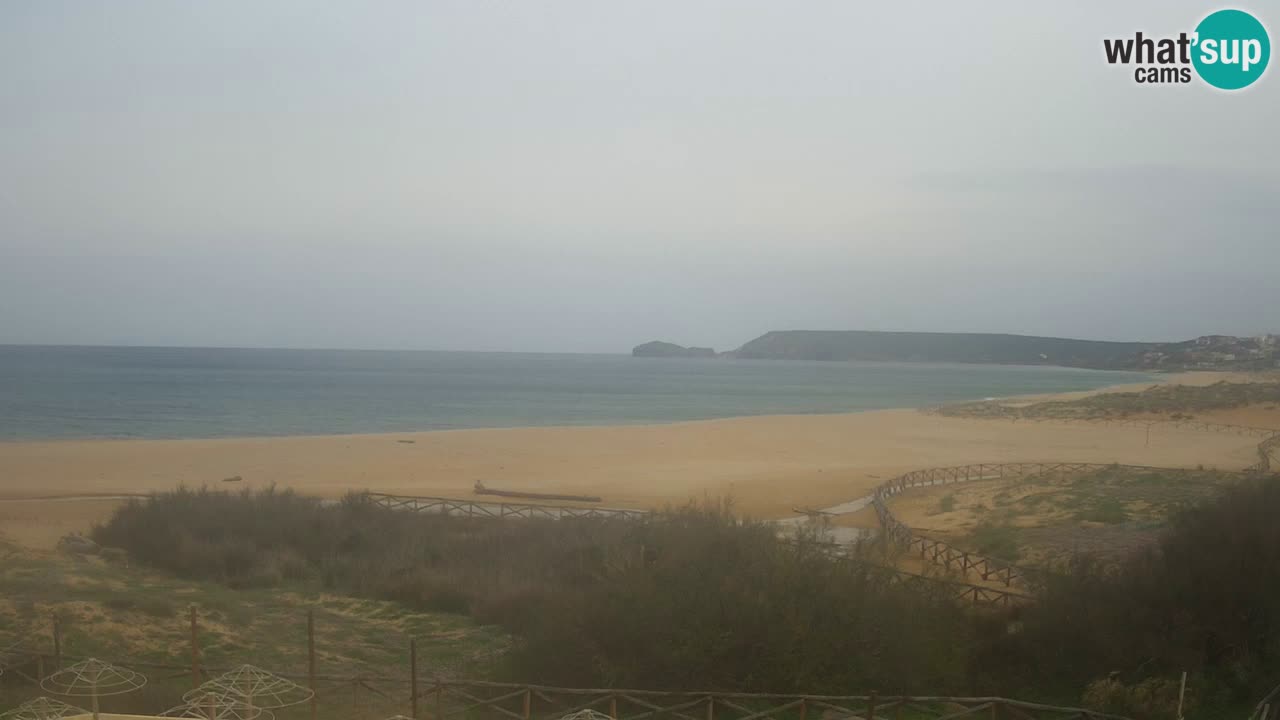 Webcam Torre dei Corsari – Live Beach View from Punta Usai