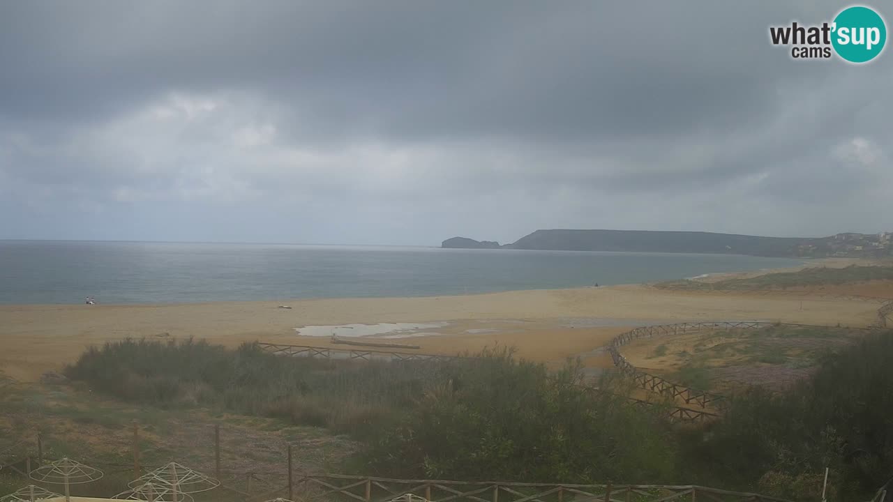 Webcam Torre dei Corsari – Live Beach View from Punta Usai