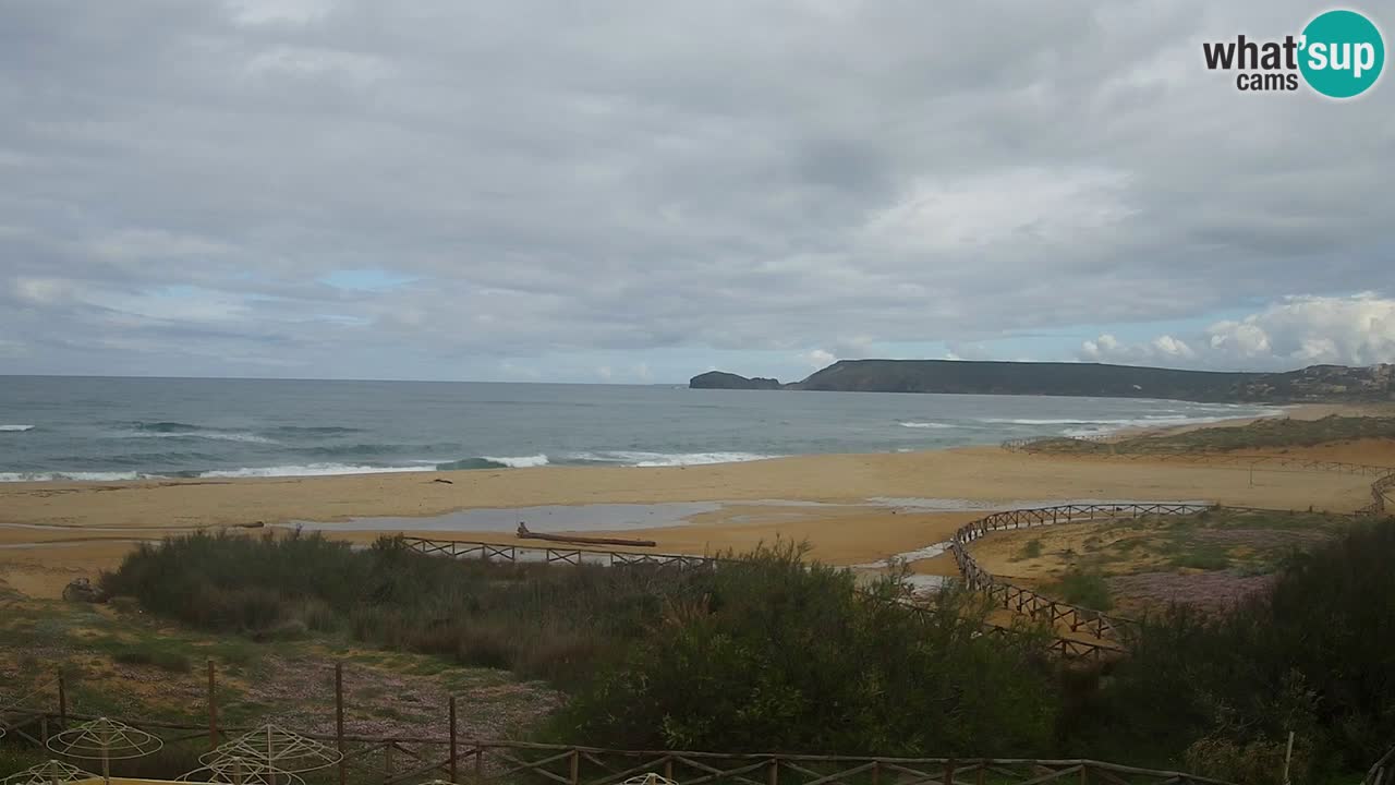 Webcam Torre dei Corsari – Live Beach View from Punta Usai