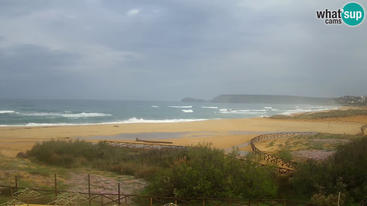Webcam Torre dei Corsari – Live Beach View from Punta Usai