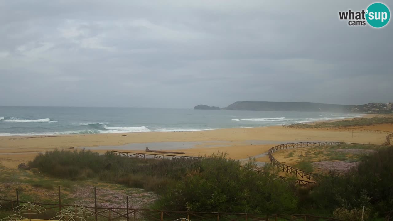 Webcam Torre dei Corsari – Liveblick auf den Strand von Punta Usai